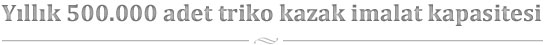 Yıllık 500.000 adet triko kazak imalat kapasitesi